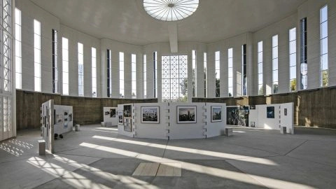 organ-vida-revelations-1