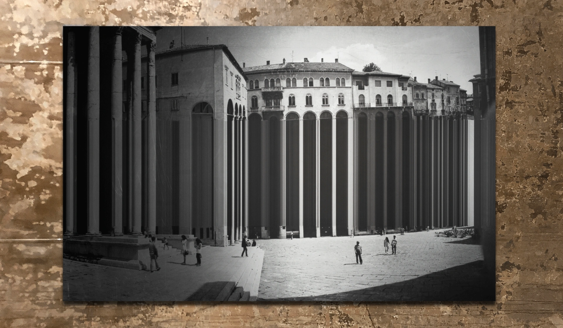 sanjam-knjige-u-istri-02