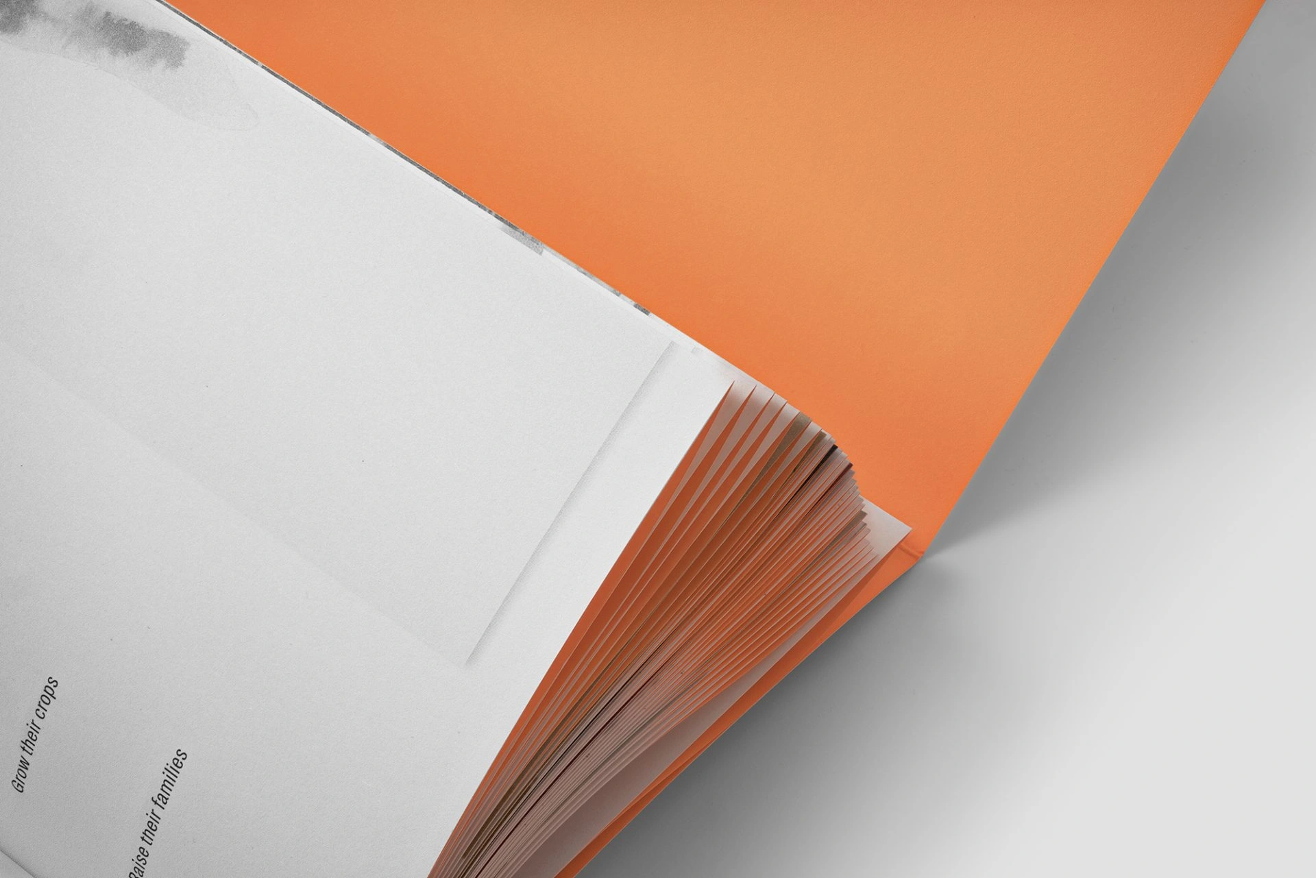 stacked-from-28-images-methodc-s4